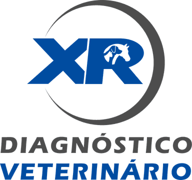 Imagem de representação do prêmio